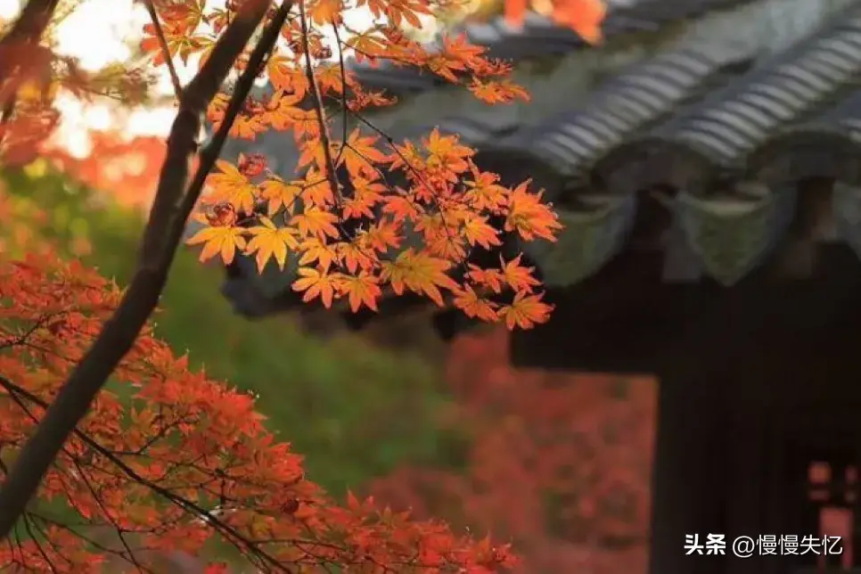 秋日唯美古诗大全（十首秋日唯美宋词）