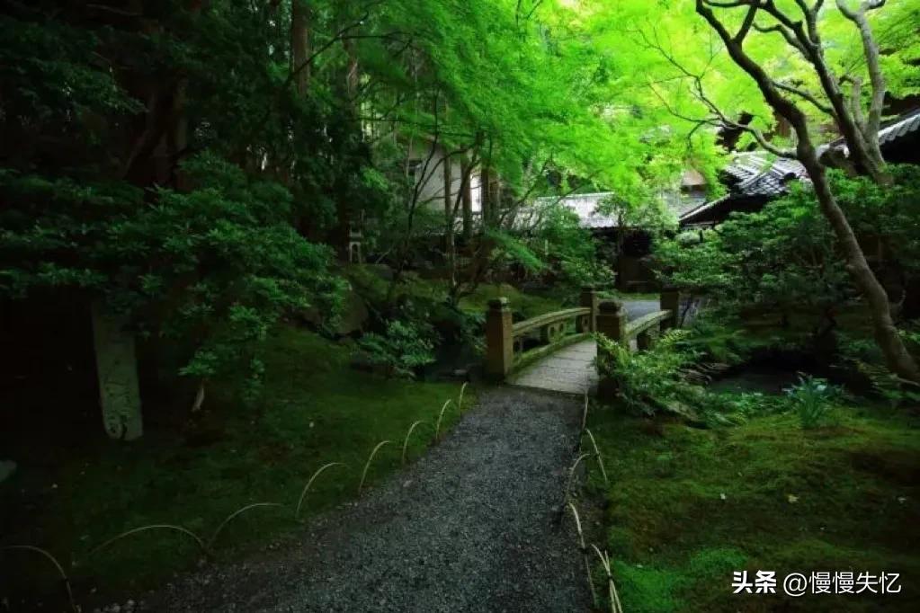 夏日岁月经典诗词（二十首夏日唯美古诗）