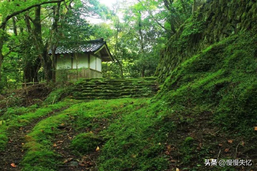 夏日岁月经典诗词（二十首夏日唯美古诗）