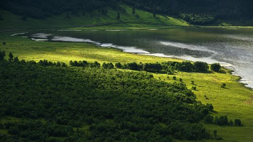 成长的风景高中作文（《成长的经历》）