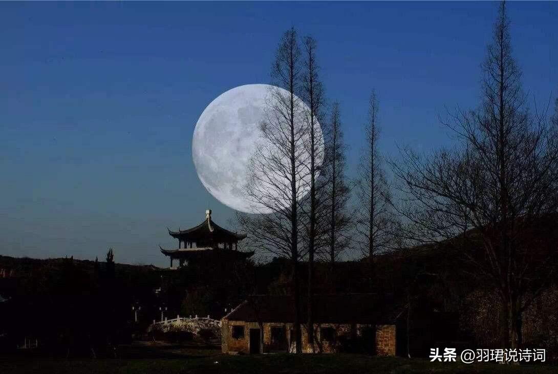 哲理珍惜唯美古诗（20首经典哲理古诗）