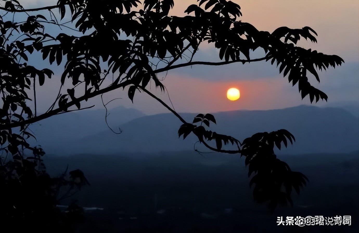 形容落叶满地金黄的诗句（8首经典秋雨诗词）