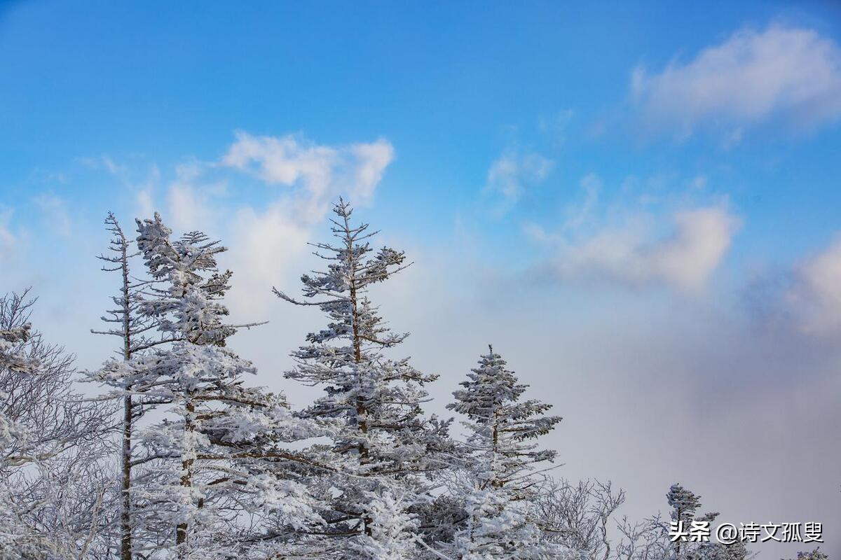 寒意渐浓，白雪难求（分享六首心灵鸡汤的古诗词）