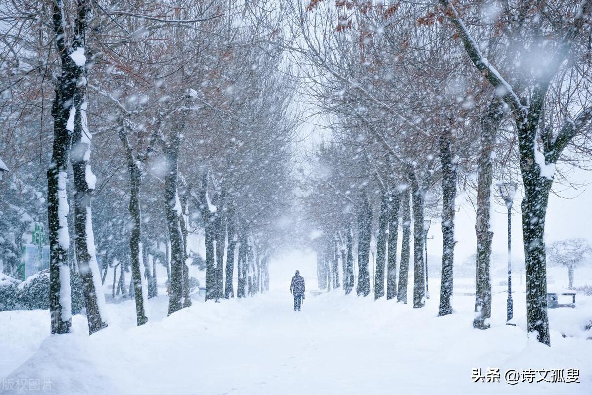 寒意渐浓，白雪难求（分享六首心灵鸡汤的古诗词）