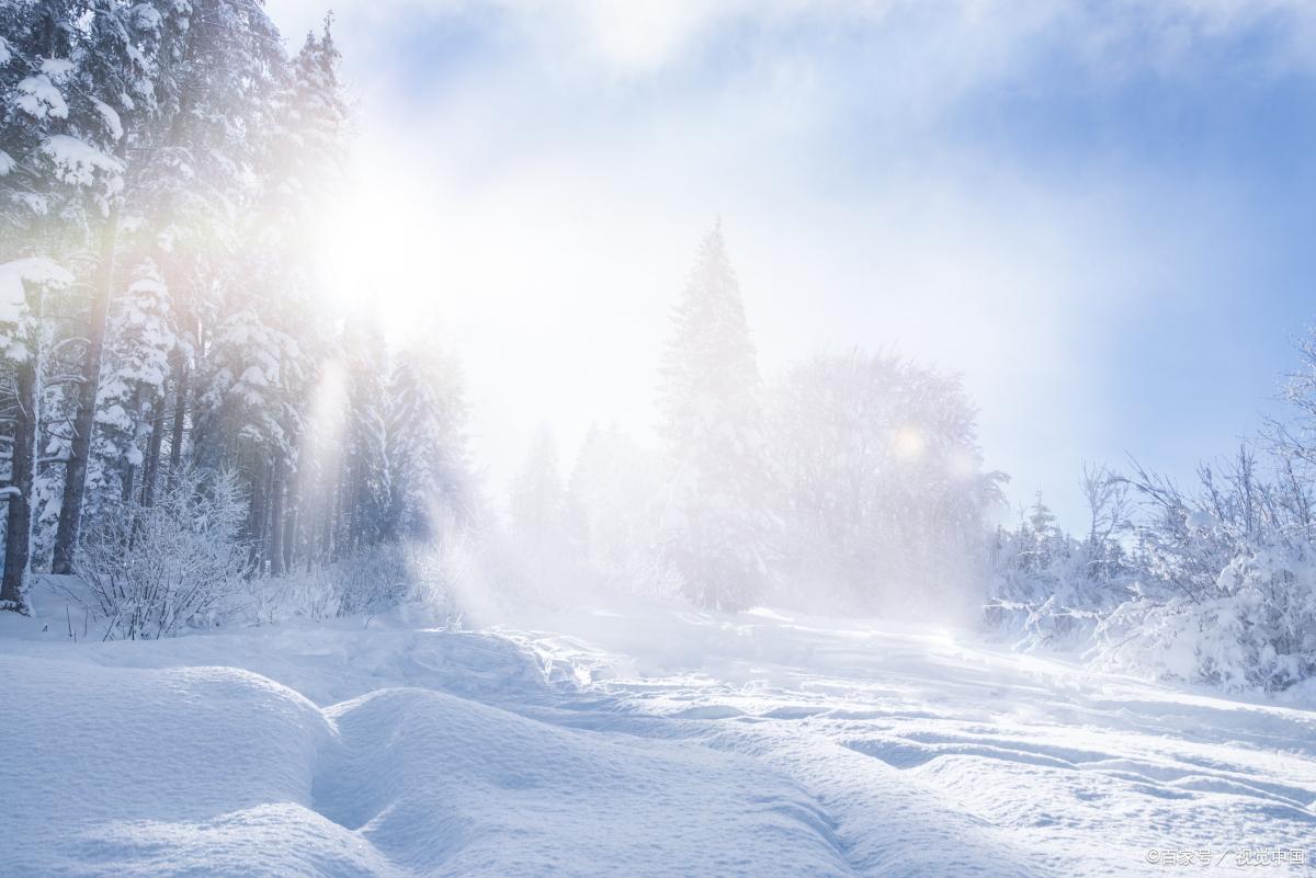 雪的诗词名句大全（四首关于雪的唯美诗词）