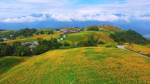 乡村的景色小学作文（《乡村的变化》）