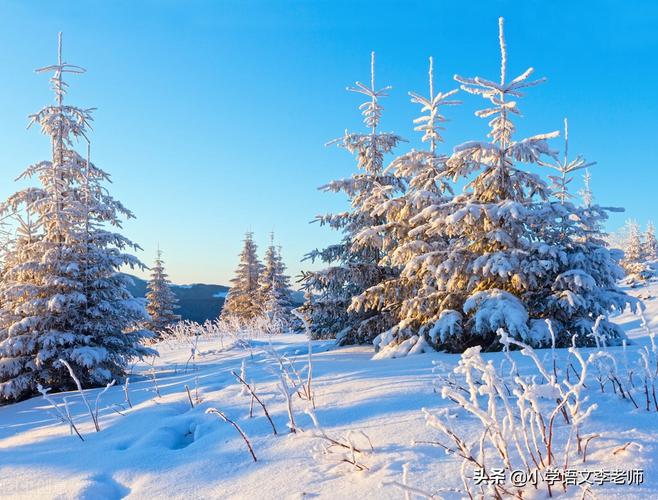 有关描写冬天寒冷的句子段落摘抄的好句和感悟（冰雪之境）