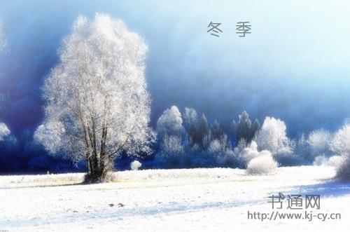 描写冬天的超短句（冰雪王国的风景如画）