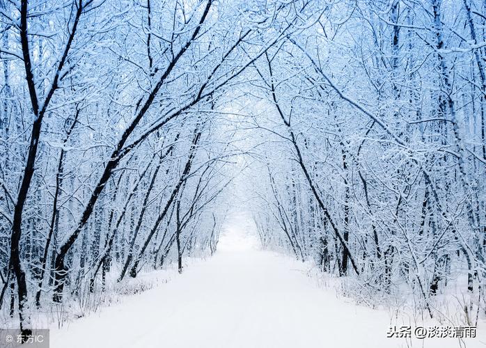 描述大雪的句子（大雪纷飞，唯美短句倾情描写）