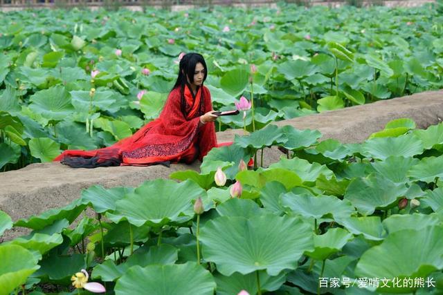 美人美人诗句（美人句子多句赏析：倾心细语，品味唯美之美）