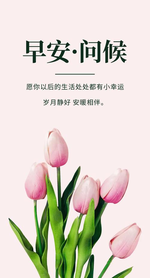 关于美丽的句子短句（美丽句子经典——寻找美丽的语言艺术）