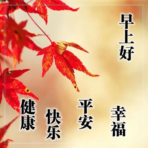 美好一天的心情短语朋友圈（用短句传递温暖）