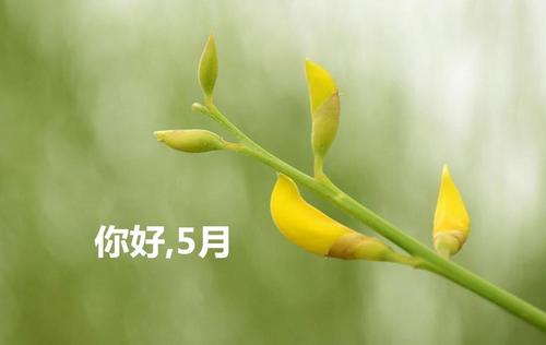 每周一语精美句子大全（每周一份祝福，让心灵温暖永远）