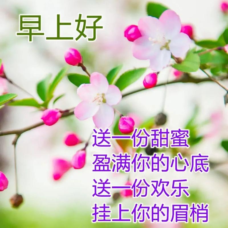 元旦第一天早上祝福语（用唯美短句点亮新的一年）