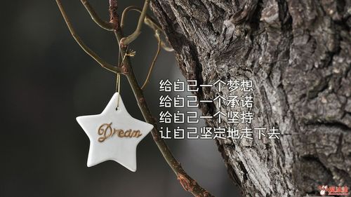 罗曼罗兰名言大全摘抄（芳华不老，时光永恒）