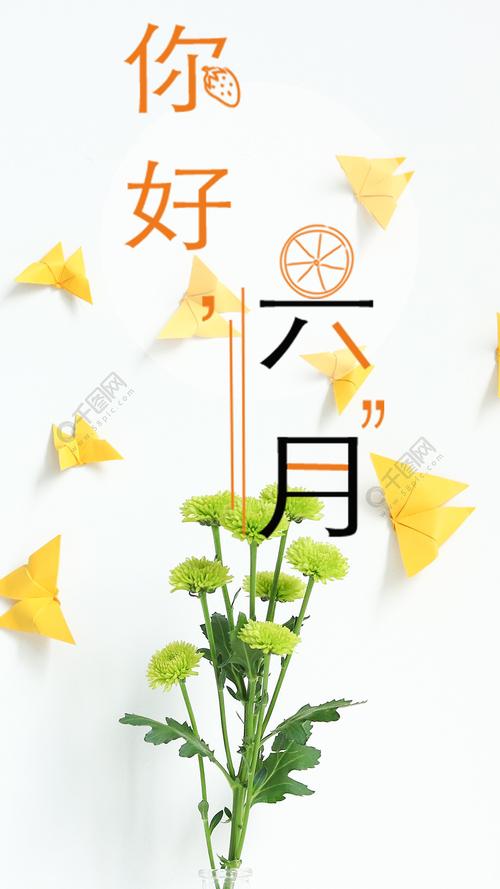 6月你好的朋友圈说说（六月的美好）