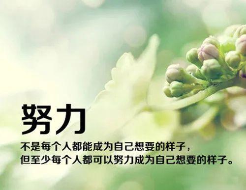 最经典的励志正能量名言警句（莫忘初心，方得始终）