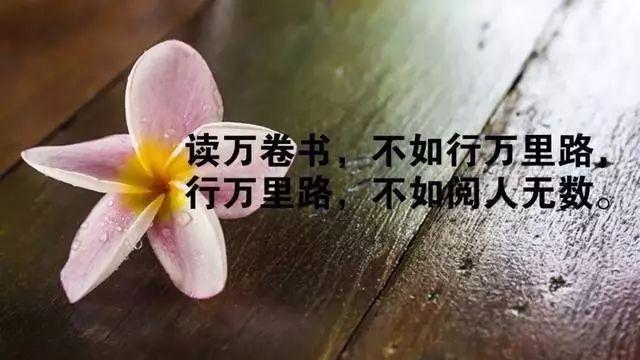 励志感悟人生的经典句子（执着的脚步，开启成功之门）