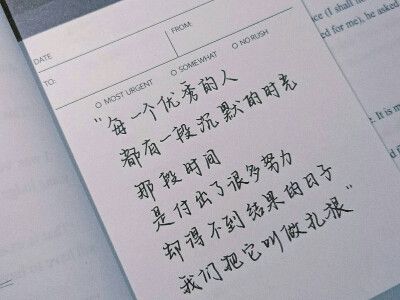 励志名言与解析（用美丽的语言激发内心的力量）