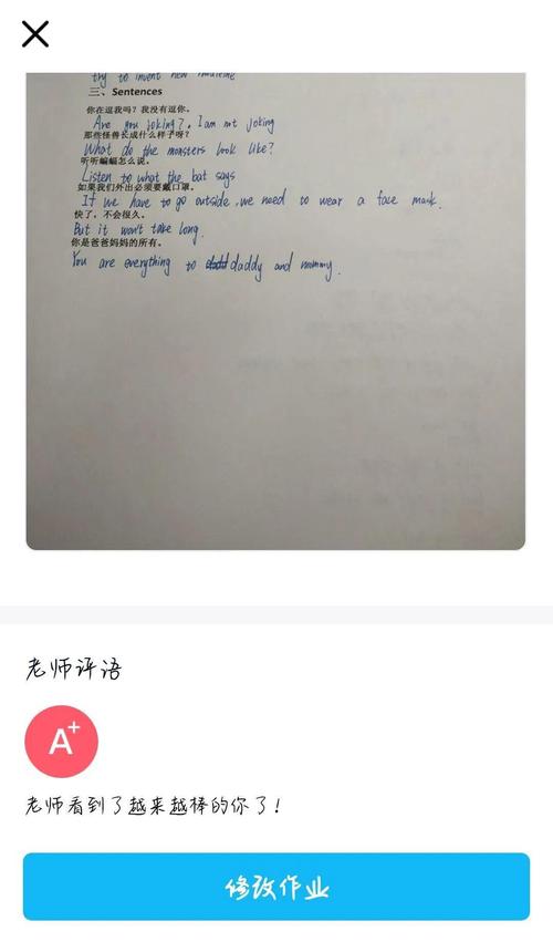 我最想做的事作文500字作文（《追寻梦想的路上》）