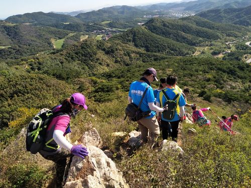 有关爬山的作文600字初中（《攀登高峰》）