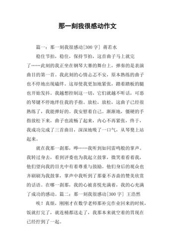 有关什么让我感动的作文500字（《一份不平凡的爱》）