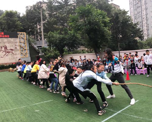 快乐的运动会作文500字左右（《快乐的运动会》）