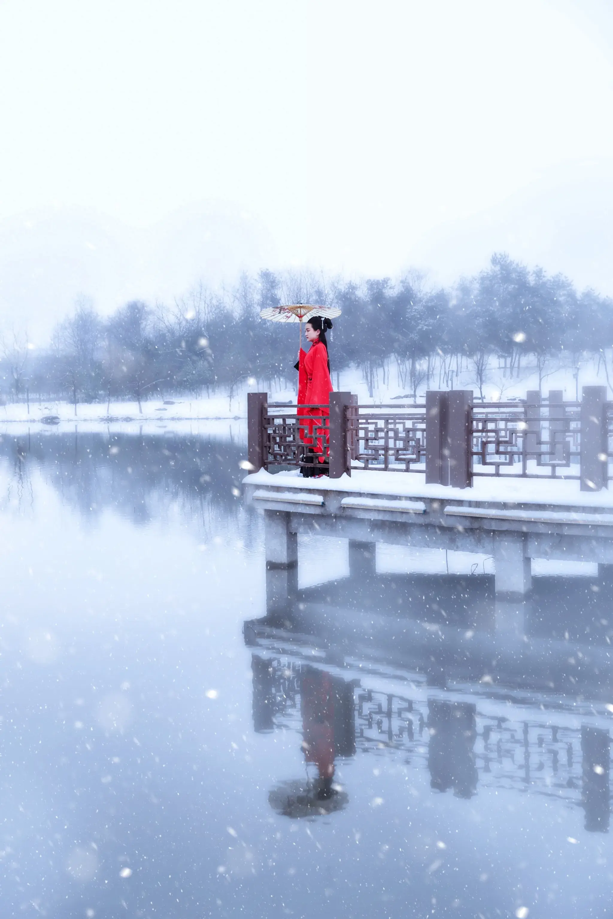 大雪经典古诗有哪些（四首唯美的大雪诗词）