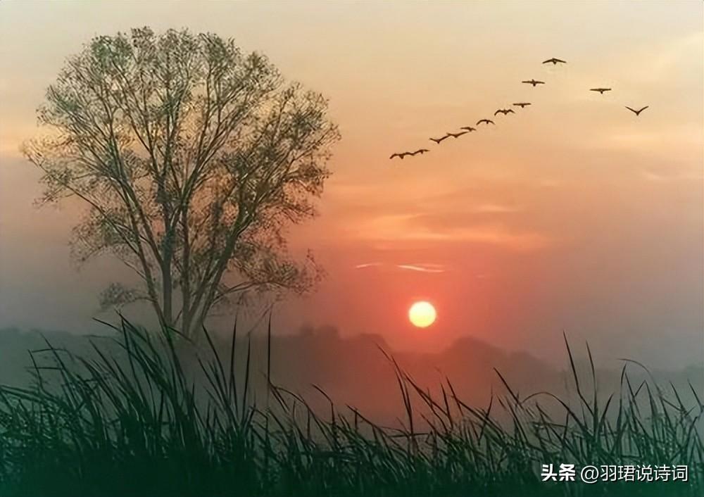 落日黄昏晓，夕阳醉晚霞（推荐80句唯美夕阳诗词）