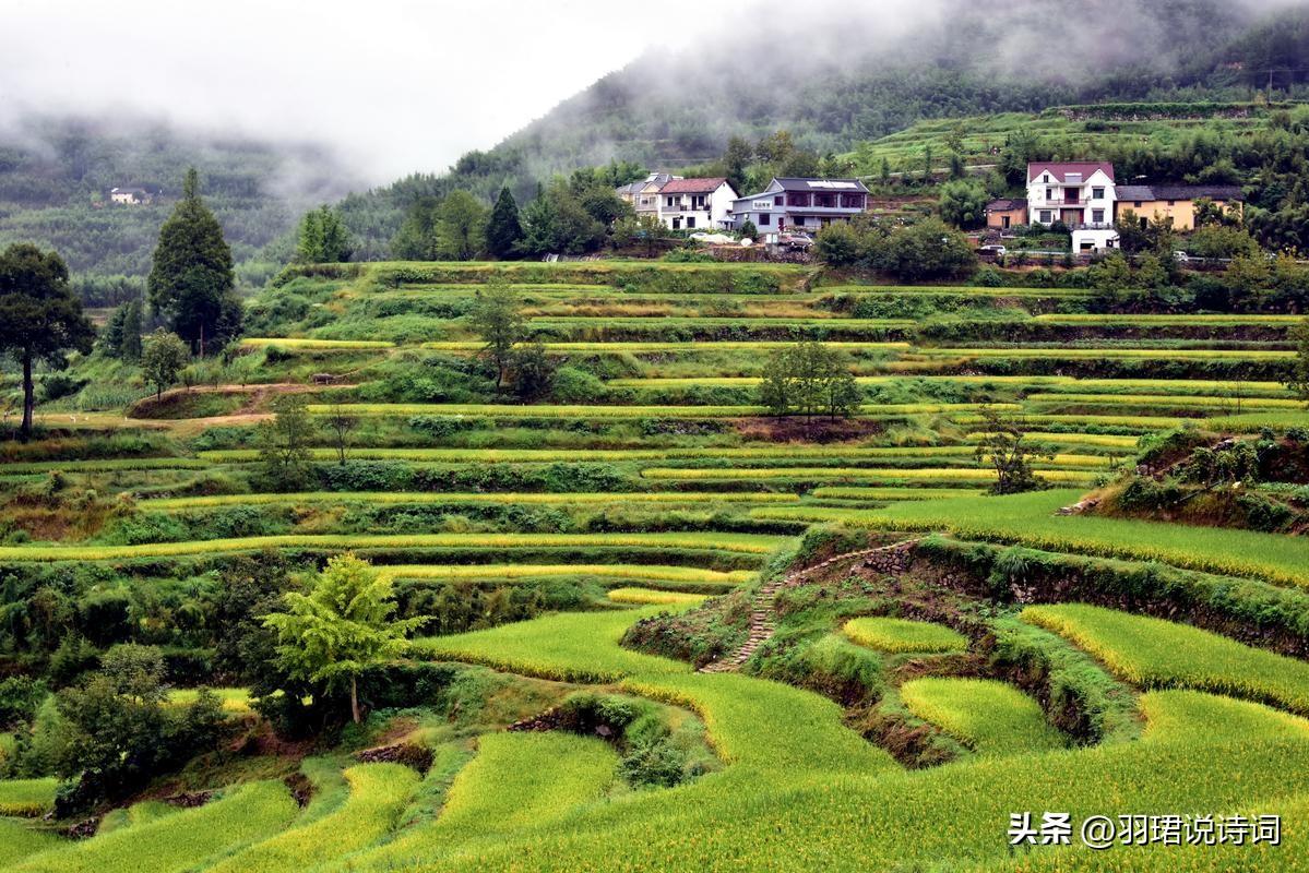 悲伤唯美古诗词句鉴赏（10首农家经典诗词）