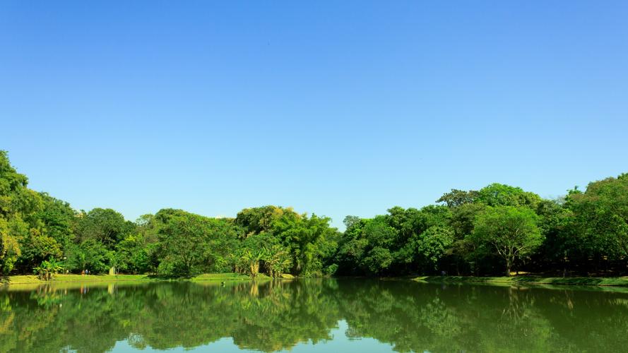 美丽的写景高中作文（《冬天的写景》）