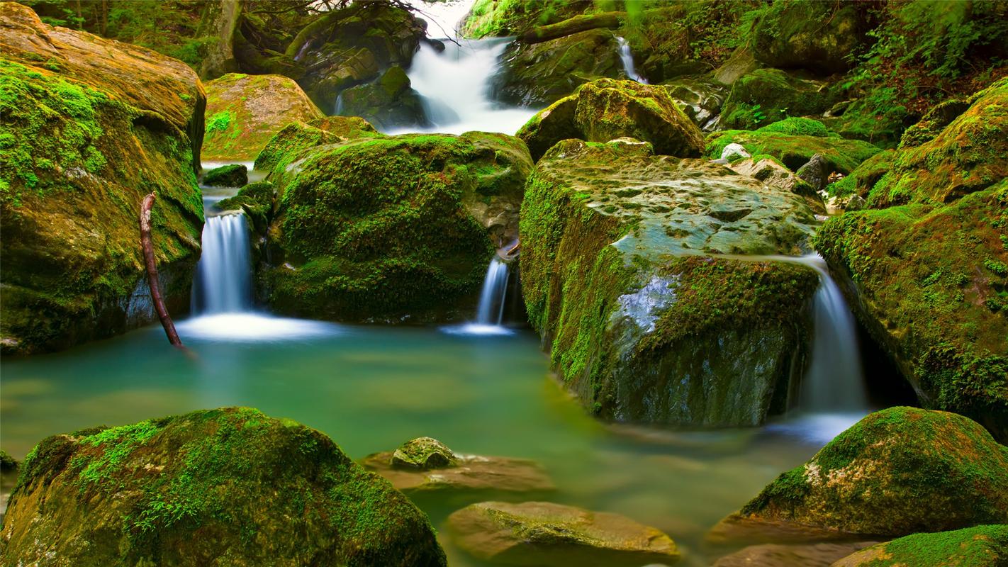 美丽的写景高中作文（《故乡的写景》）