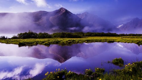 迷人的写景高中作文（《春天的写景》）