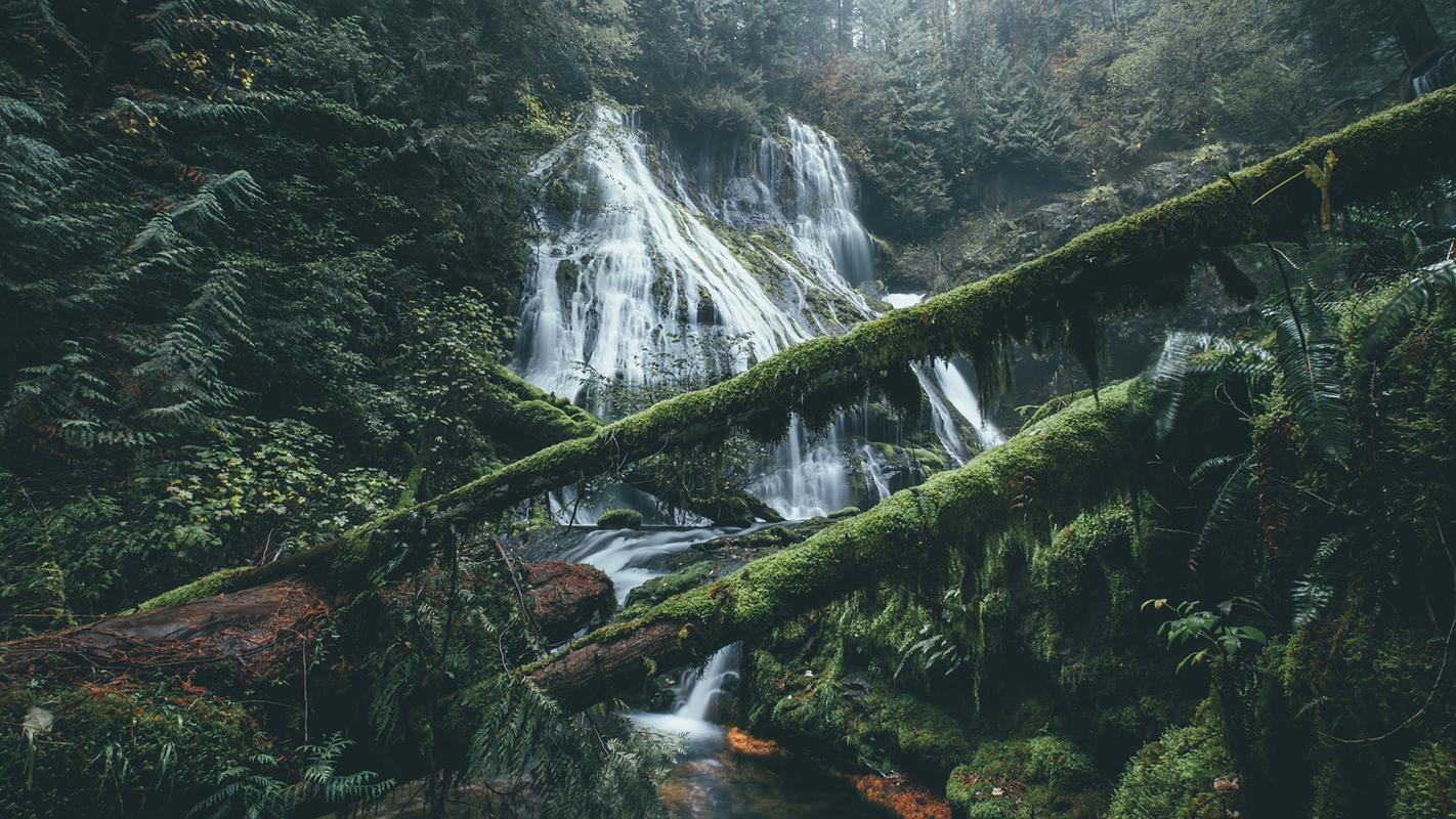 日落的写景高中作文（《校园的写景》）