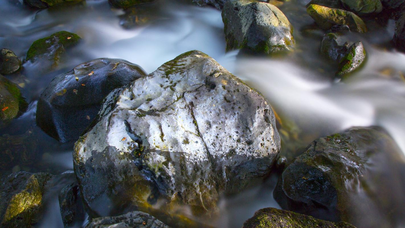 夕阳的写景高中作文（《窗外的写景》）