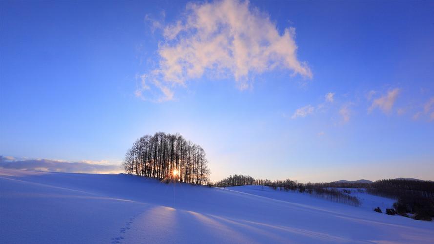 校园的写景高中作文（《春天的写景》）