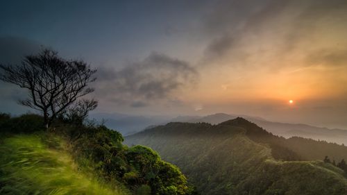 学校的写景高中作文（《草原的写景》）