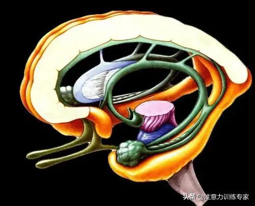 教育孩子控制情绪的方法有哪些（2个方法让孩子合理控制情绪）