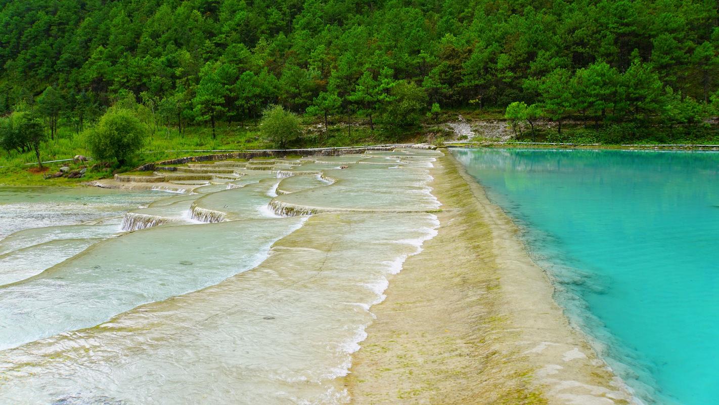 中秋的写景高中作文（《田野的写景》）