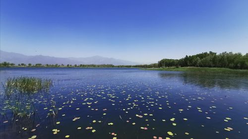 中秋的写景高中作文（《四季的写景》）