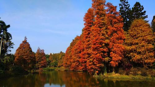 关于写景的主题高中作文（《春天的写景》）