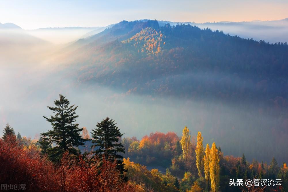 霜降唯美古诗词鉴赏（十首清寒霜降诗词）