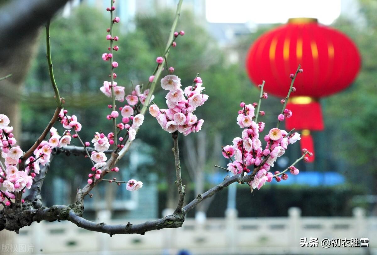 元旦古诗词五首赏析（昨日何旧，今日何新）