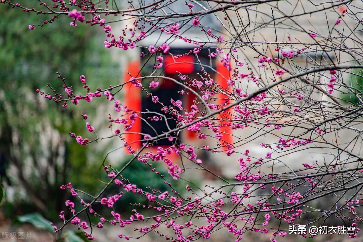 元旦古诗词五首赏析（昨日何旧，今日何新）