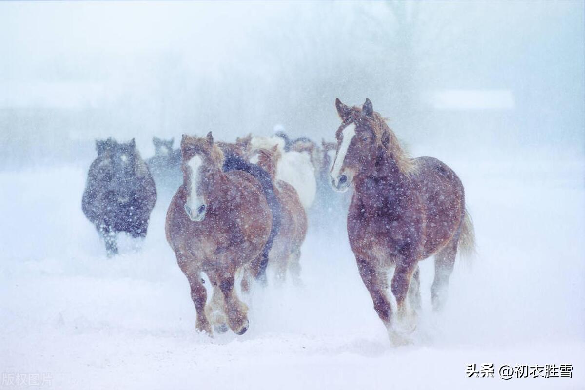 雨雪经典诗词大全（边城十一月，雨雪乱霏霏）