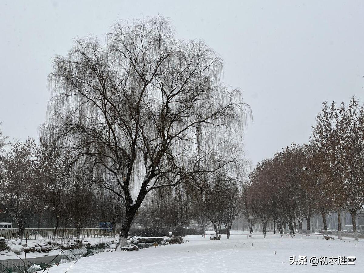 雨雪经典诗词大全（边城十一月，雨雪乱霏霏）