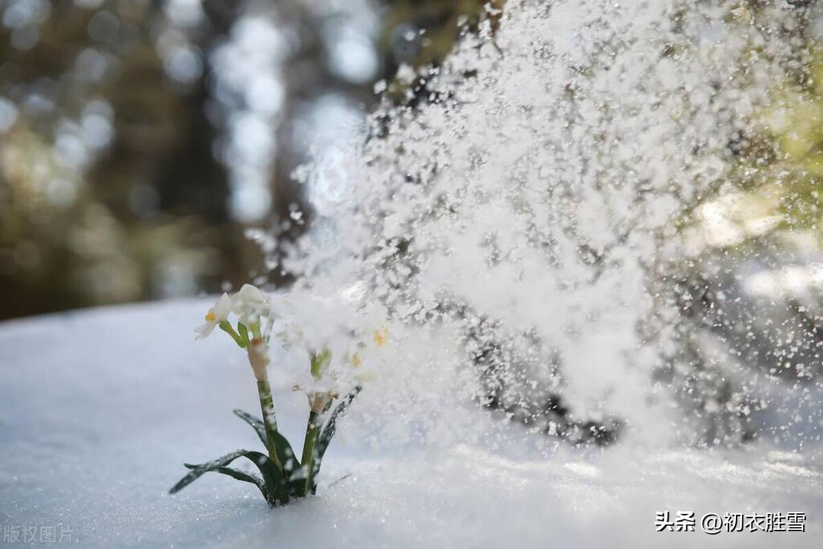 大雪经典诗词大全（五首大雪节气古诗词）