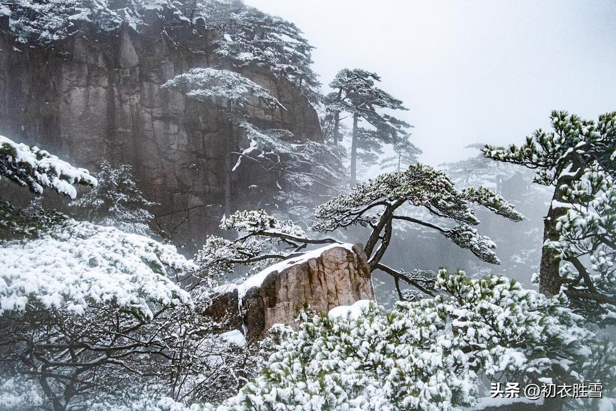 大雪经典诗词有哪些（大雪节气古诗五首）