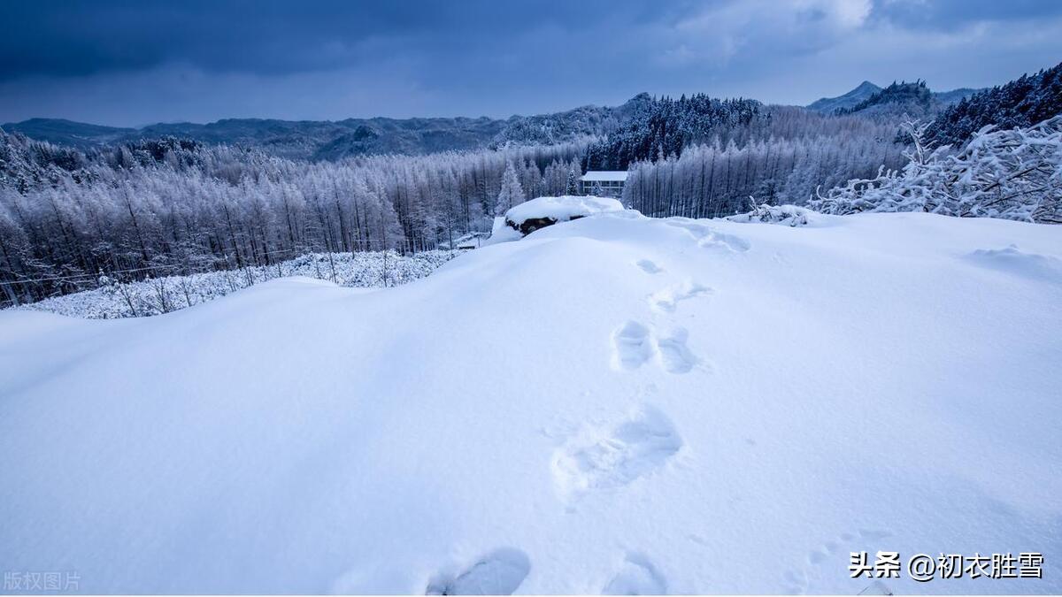 小雪经典诗词大全（小雪节气诗词五首）