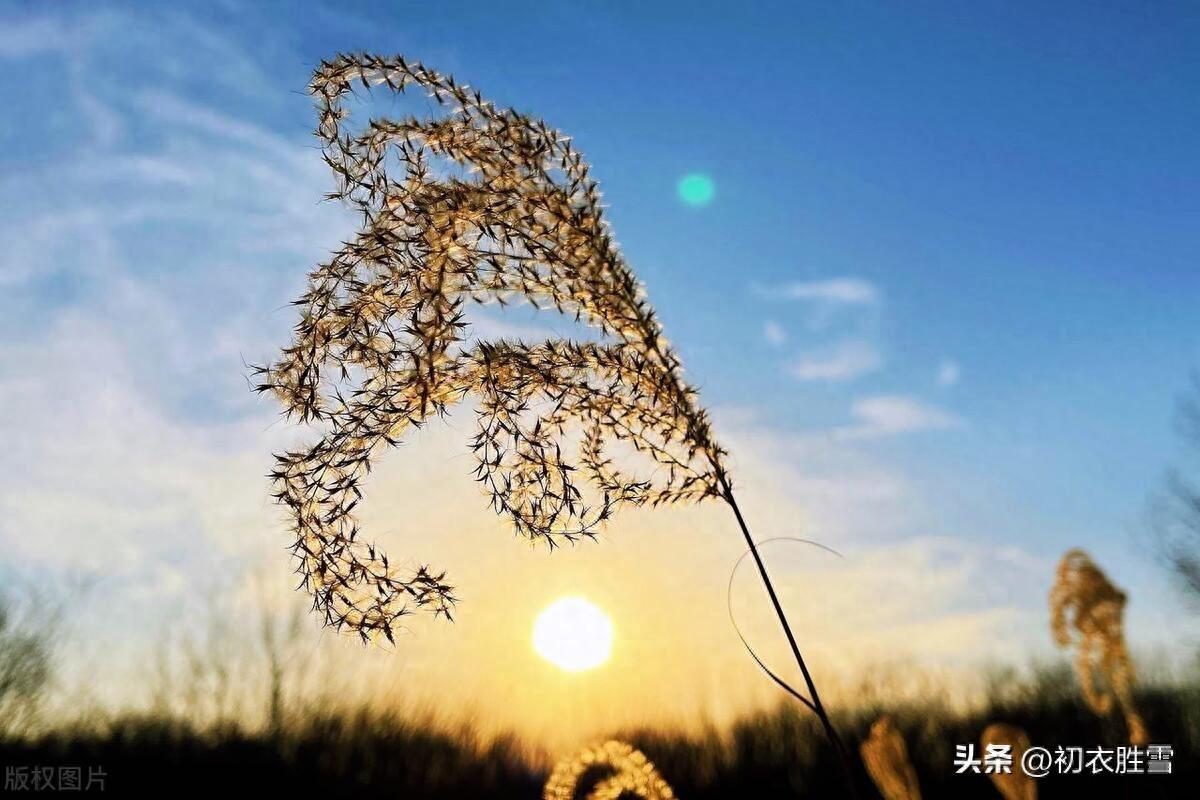 冬日经典诗词大全（冬日暖阳优美古诗五首）